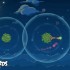 Angry Birds Space, prime immagini del gioco