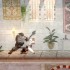 Giochi iPhone e iPad, migliori app settimana 5 – 11 marzo 2012