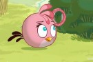 Angry Birds Seasons, nuovo aggiornamento Back To School Angry Birds Seasons, nuovo aggiornamento Back To School