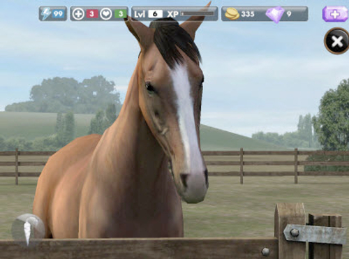 My Horse